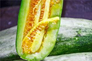 各种网红吃瓜视频下载,揭秘娱乐圈幕后故事  第2张